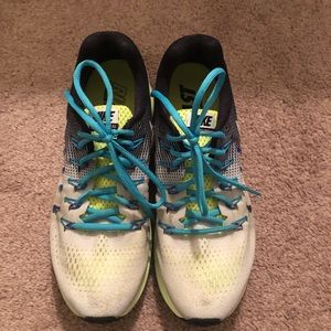 Nike zoom Pegasus 33